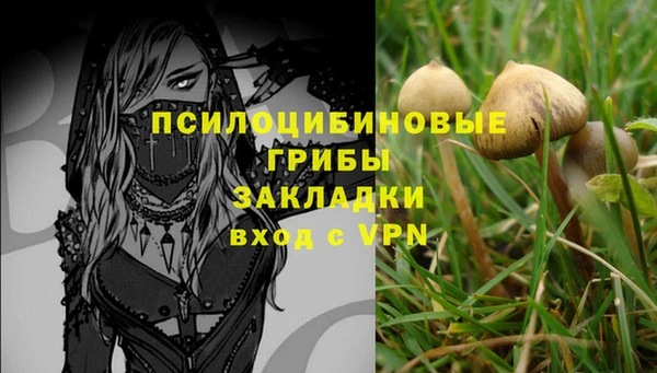 дмт Арсеньев