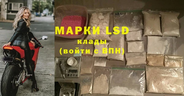 дмт Арсеньев