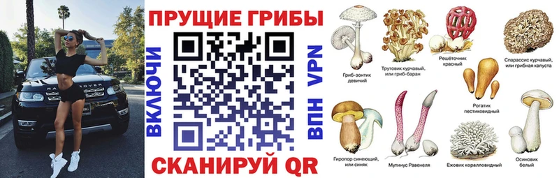 купить закладку  OMG рабочий сайт  Галлюциногенные грибы GOLDEN TEACHER  Полесск 